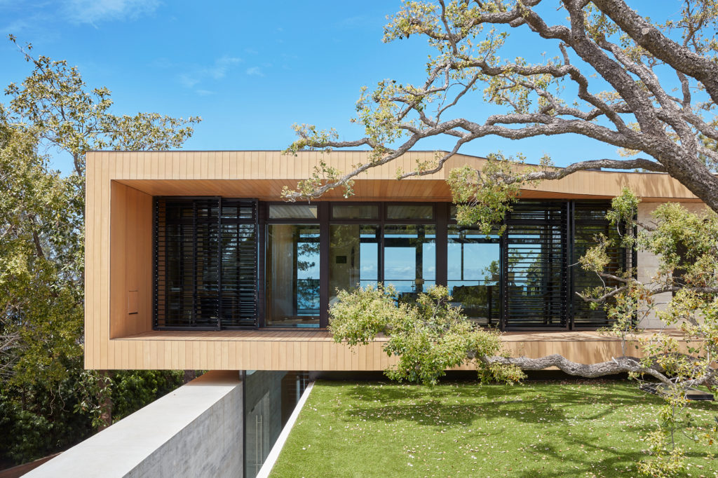 The 35M Tree House In La Jolla California Home Design The 35M Tree House In La Jolla California Home Design